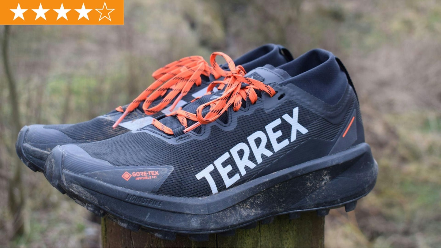 Adidas Terrex Agravic GTX