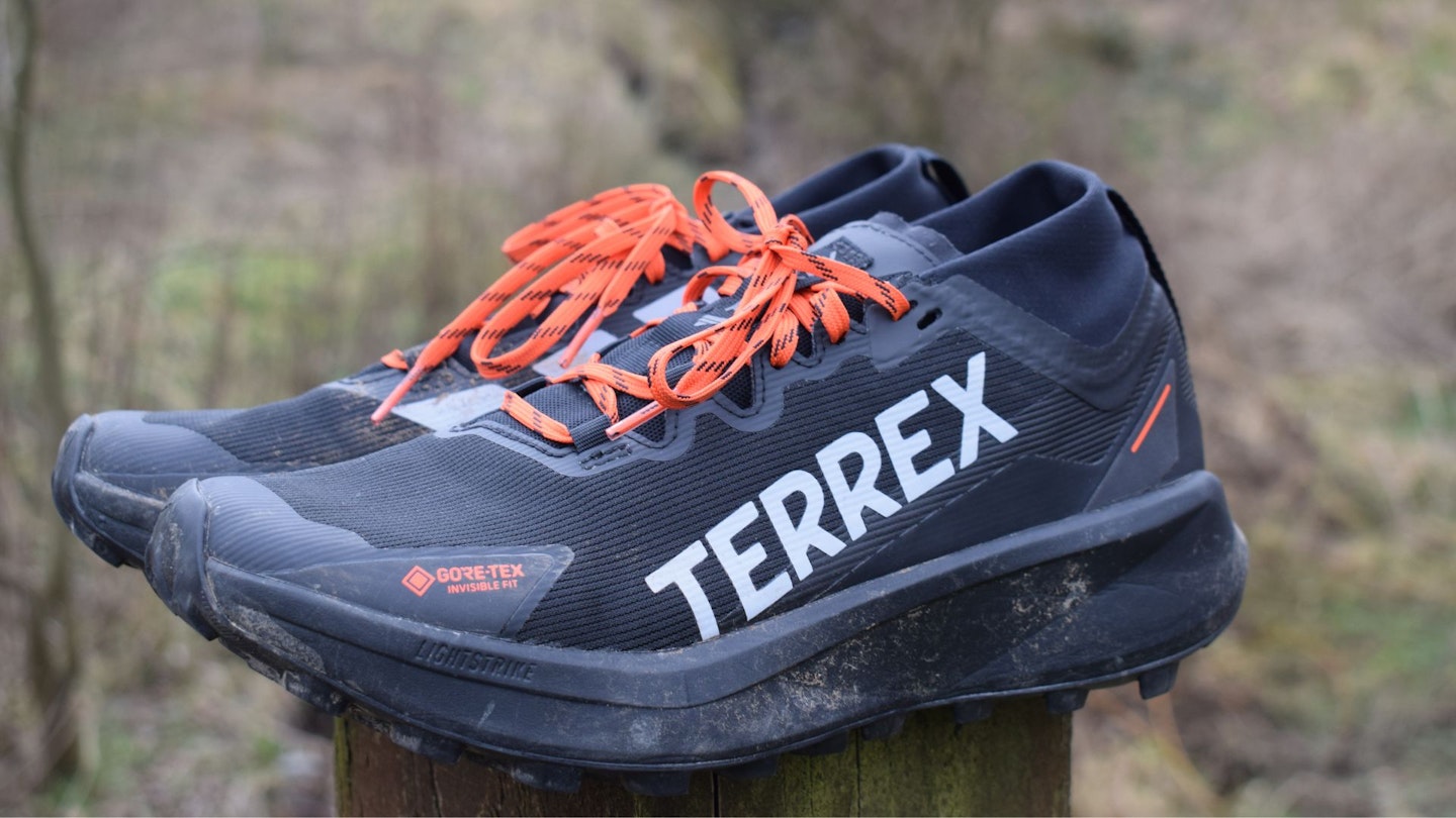 Adidas Terrex Agravic GTX