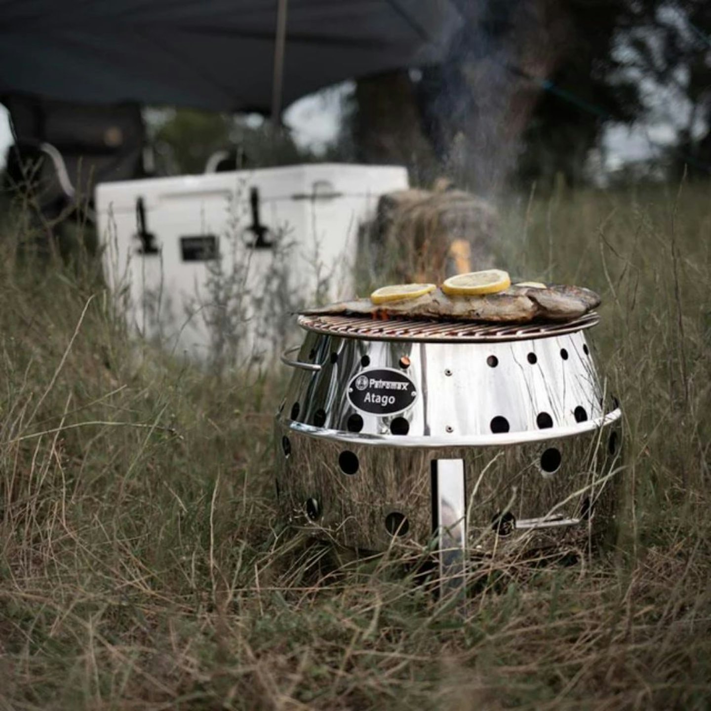 Petromax Atago grill system cooking fish