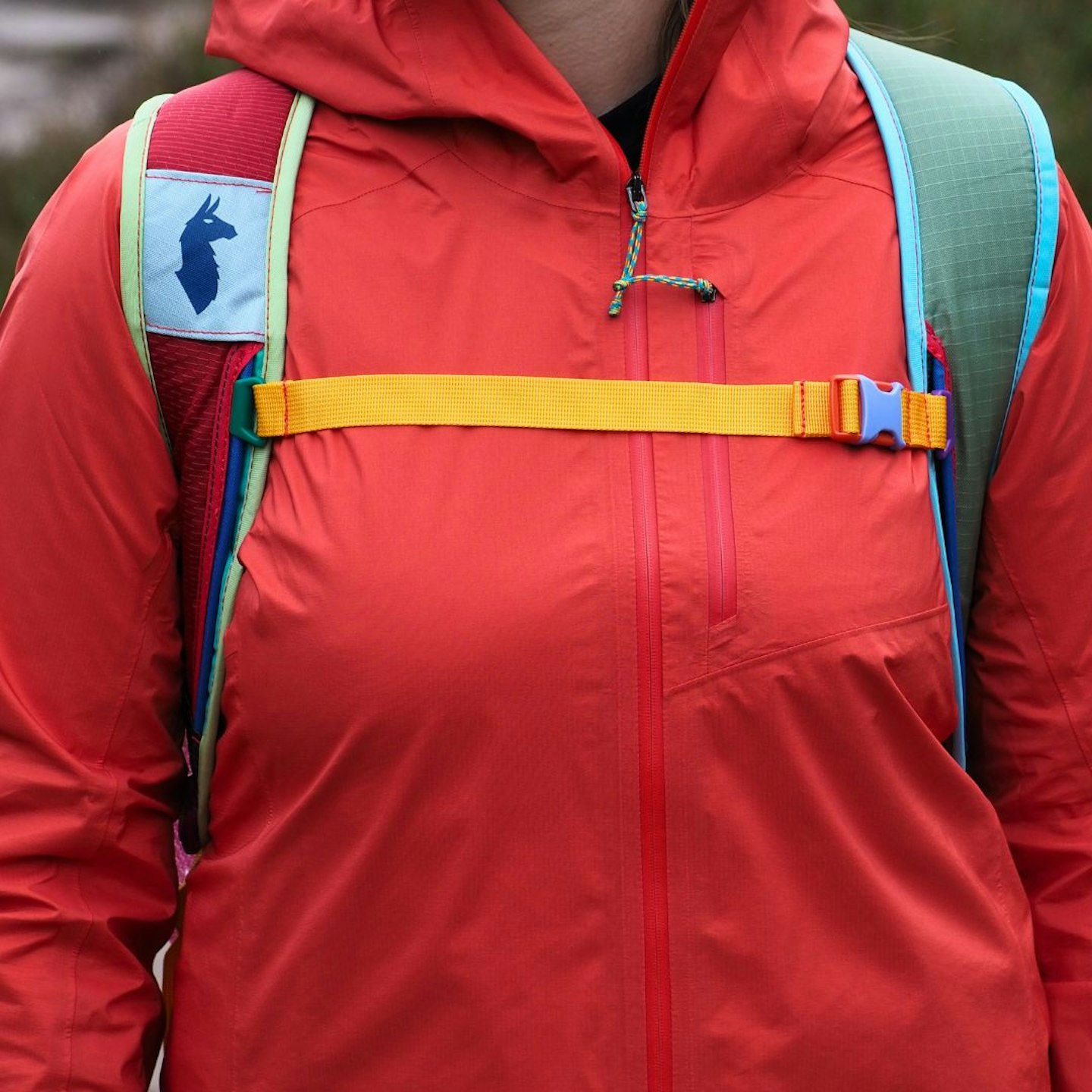 Cotopaxi Batac 24L Backpack shoulder straps