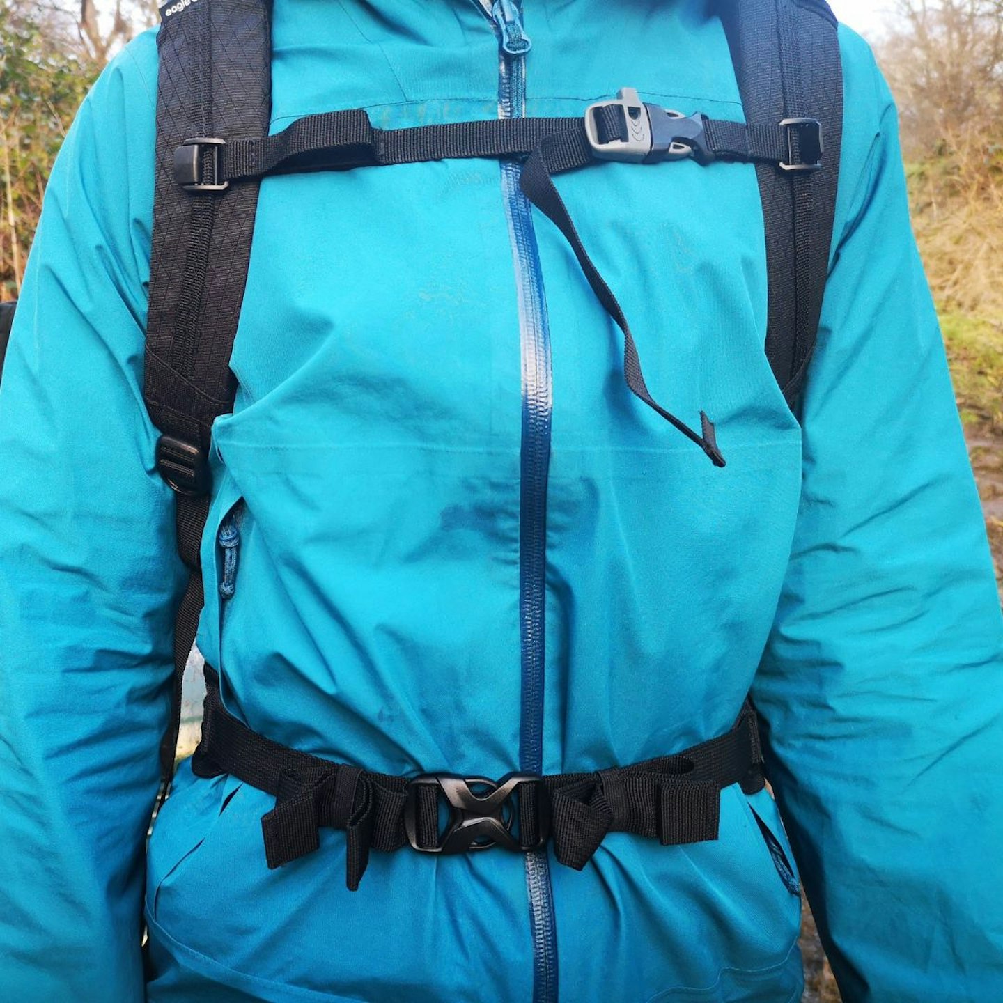 eagle creek harness system