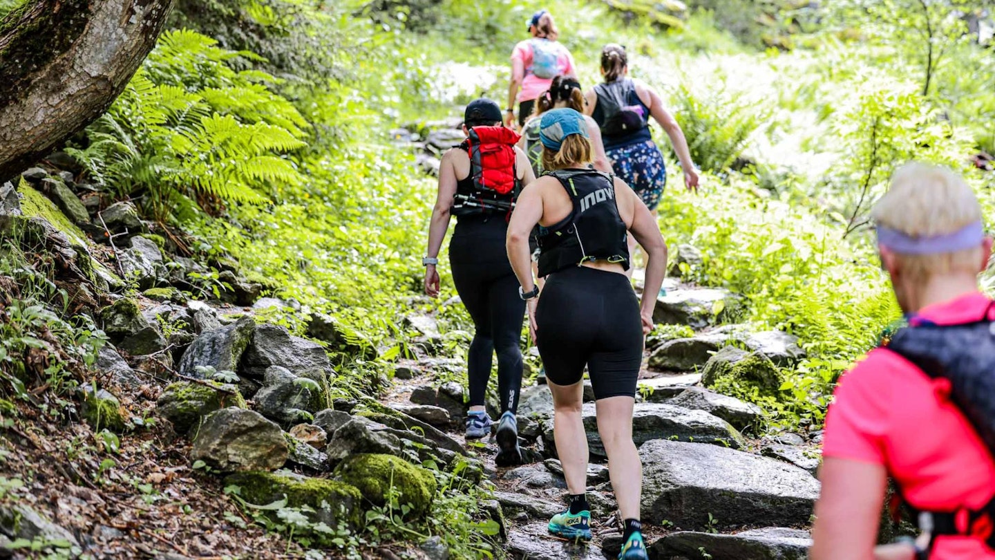 Trail runners going uphill
