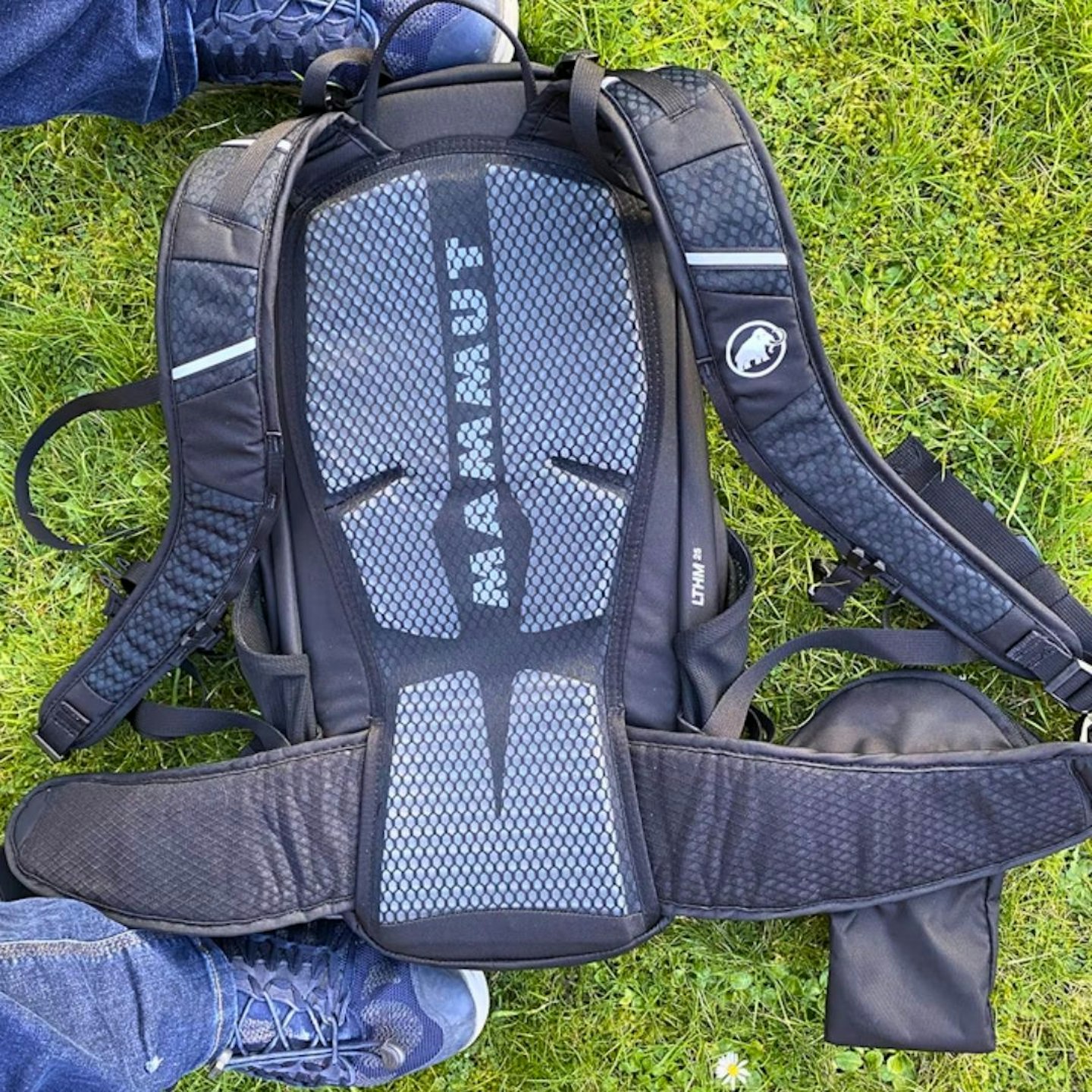 Mammut Lithium 25 back system