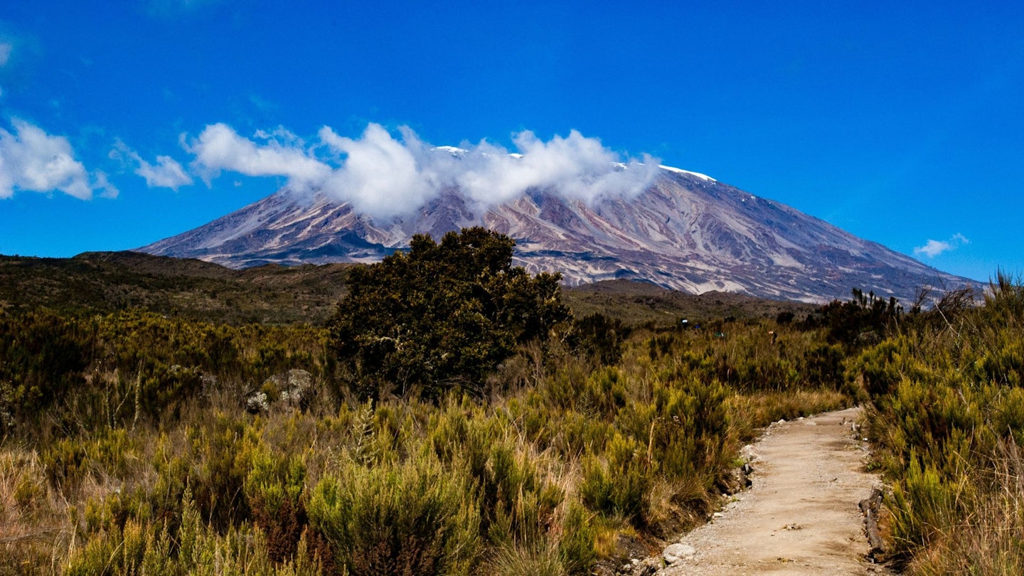 View of Mount Kilimanjaro from a distance
