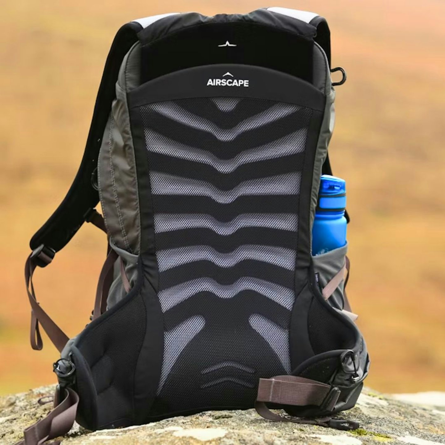 Osprey Talon 22 back panel