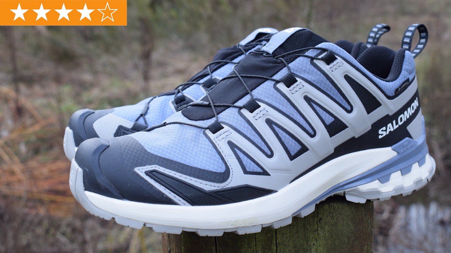 Salomon GTX running shoe