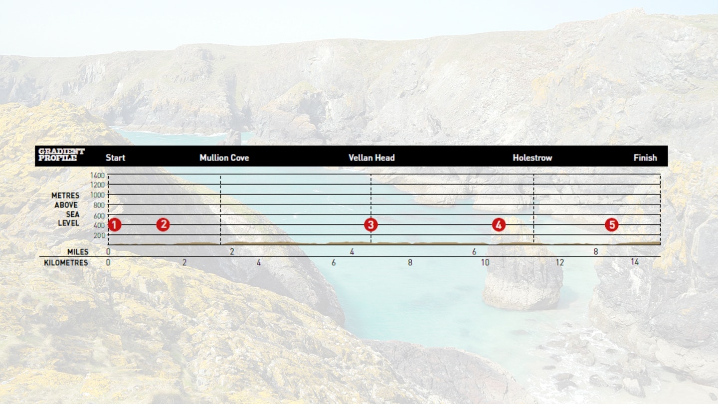 The Lizard Peninsula